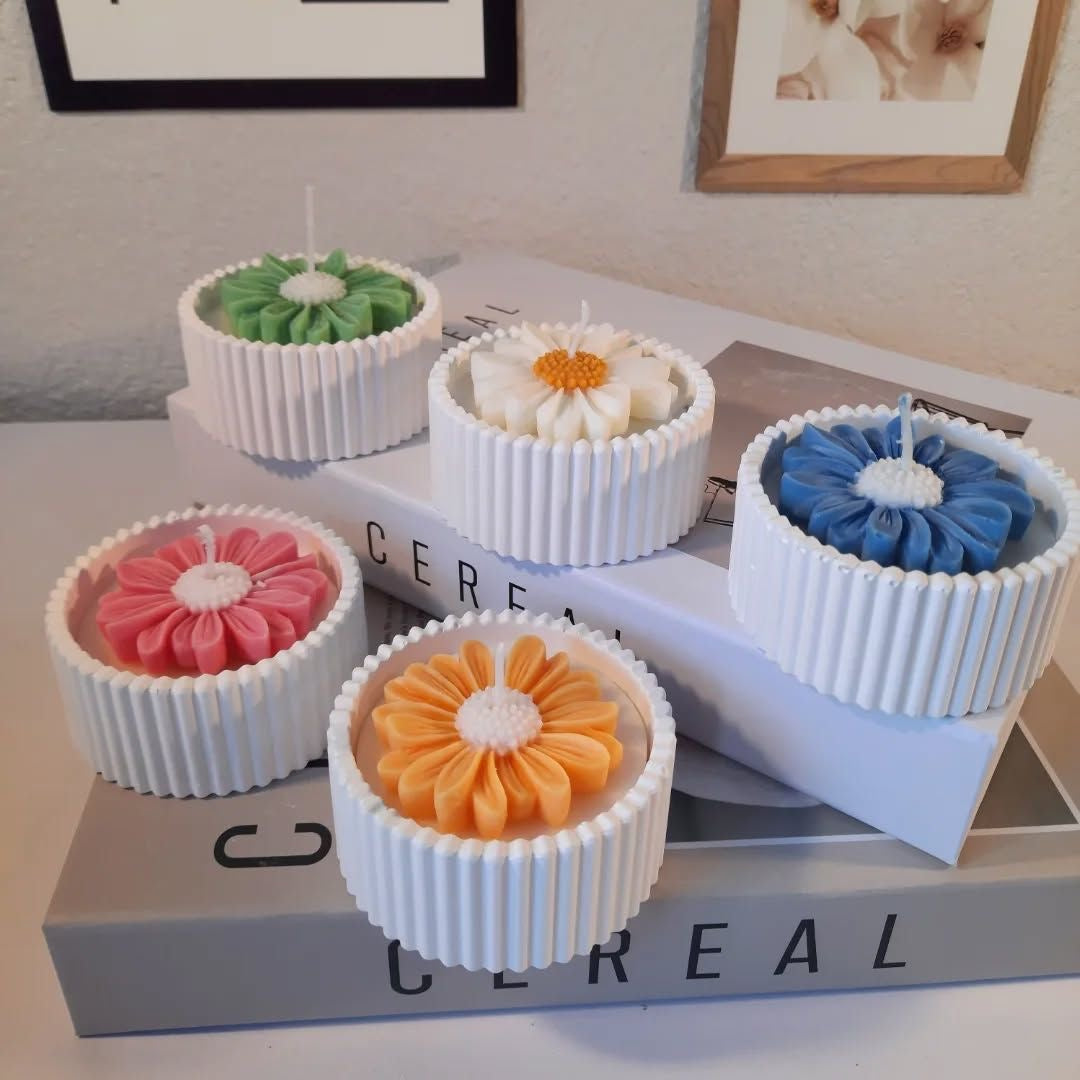 daisy pots