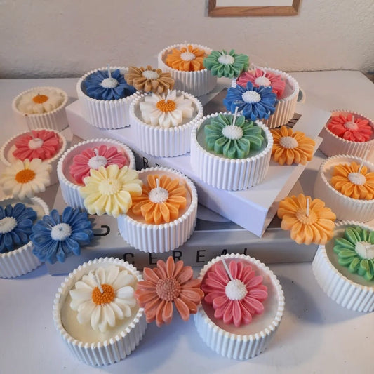 daisy pots